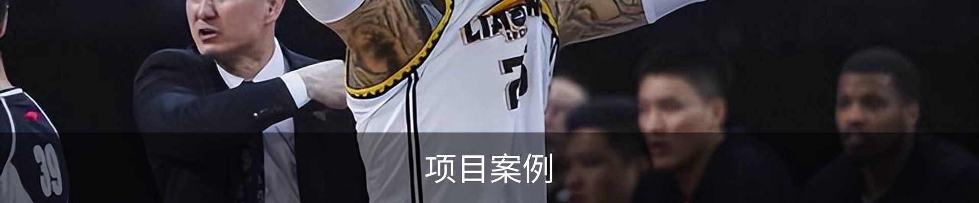 项目案例